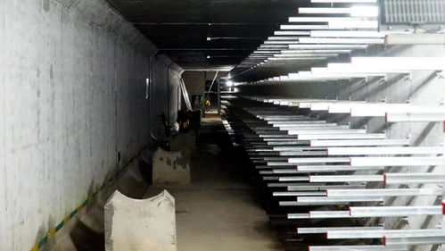 打造城市“生命線”，東海岸新城綜合管廊全面啟動機電設備安裝